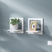 Hanging Display for Plants Photo