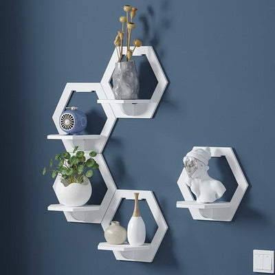 Hanging Display for Plants Photo