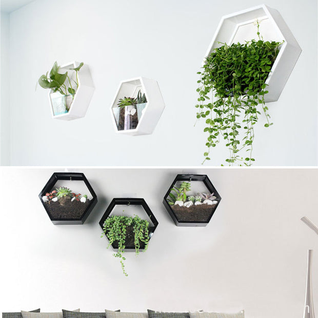 Hangings Wall Decorations