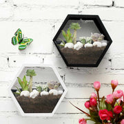 Hangings Wall Decorations