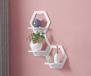 Hanging Display for Plants Photo