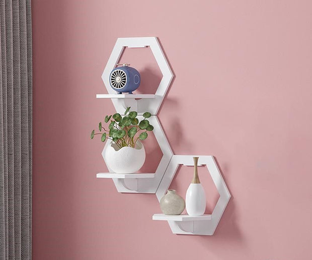 Hanging Display for Plants Photo