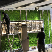 Moss Decoration Of Green Plant Wall Lichen Lawn
