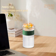 Himalayan Salt Lamps