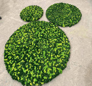 Moss Decoration Of Green Plant Wall Lichen Lawn