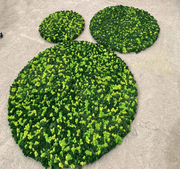 Moss Decoration Of Green Plant Wall Lichen Lawn